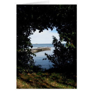 Vue de lac window de Blank_Tree