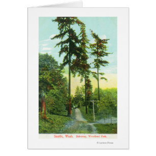 Vue de l'allée au parc Woodland