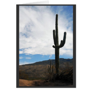 "Vue de Saguaro "