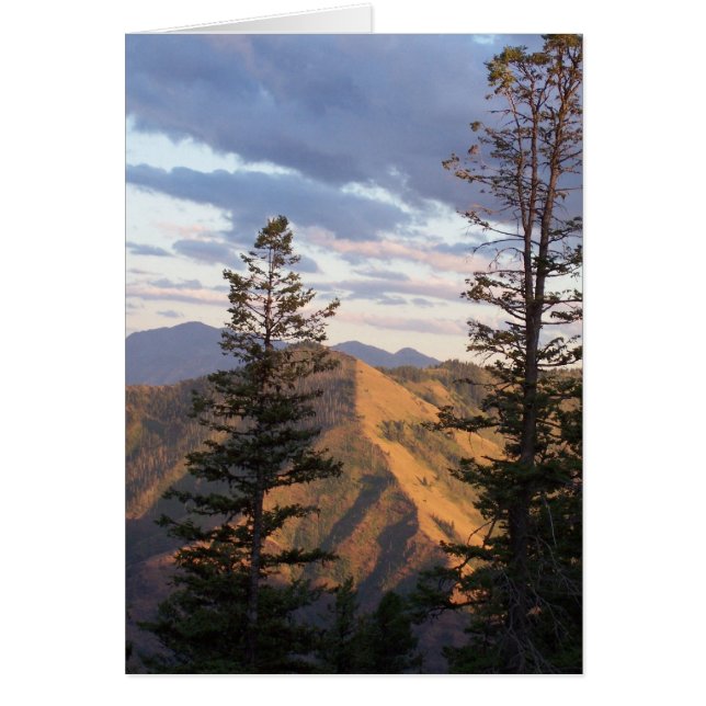 Vue de verticale d'enfers (Devant)