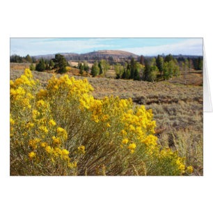 Vue de Yellowstone