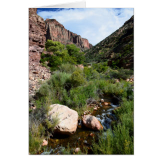Vue depuis North Kaibab Trail