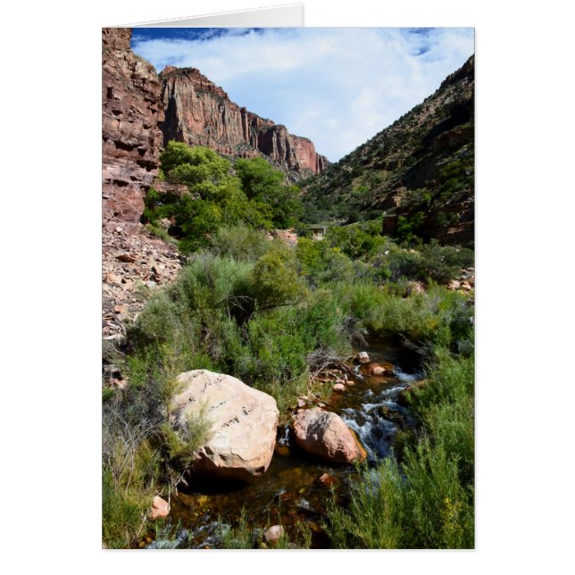 Vue depuis North Kaibab Trail (Devant)
