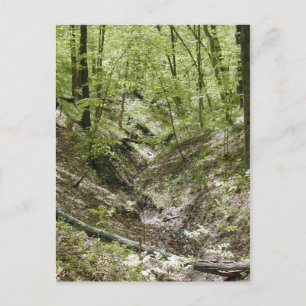 Vue des cartes postales du pont Ledges