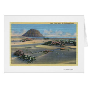 Vue des dunes de sable à côté de la côte