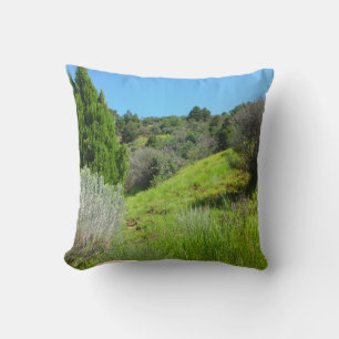 Vue du Coussin vert