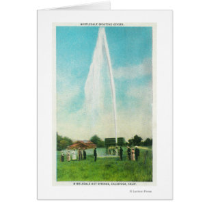 Vue du Myrtledale Geyser aux sources thermales