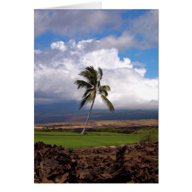 Vue du parcours de golf Hawaiian (Devant)