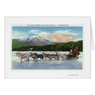 Vue d'une équipe de traîneau à chiens sur le lac M