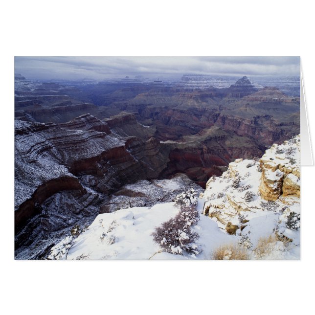 vue élevée (Devant horizontal)