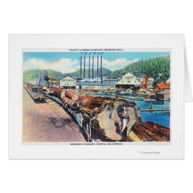 Vue extérieure de Pacific Lumber Co, Redwood (Devant horizontal)