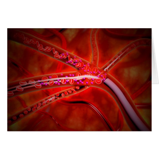 Vue Microscopique De La Médecine Injectée (Devant horizontal)