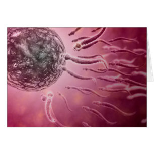 Vue Microscopique De La Nage De Sperme Vers L'Oeuf