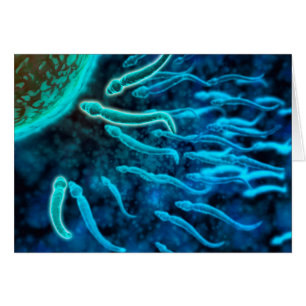 Vue Microscopique De La Nage De Sperme Vers L'Oeuf