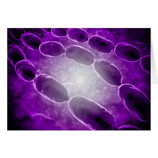 Vue Microscopique De La Pneumonie Bactérienne 2 (Devant horizontal)