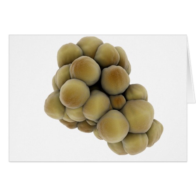 Vue Microscopique De La Tumeur 5 (Devant horizontal)