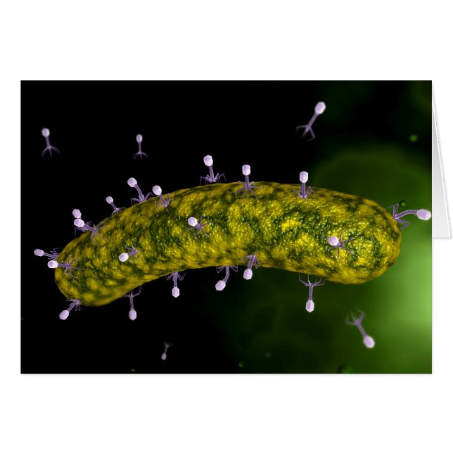 Vue Microscopique De L'Attaque Aux Bactériophages (Devant horizontal)