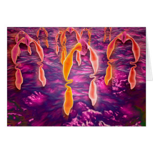 Vue Microscopique De Ligand Reliant À Un Récepteur