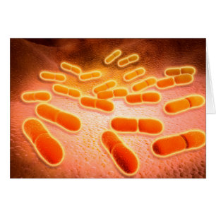 Vue Microscopique De Listeria Monocytogenes 1