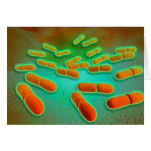 Vue Microscopique De Listeria Monocytogenes 3