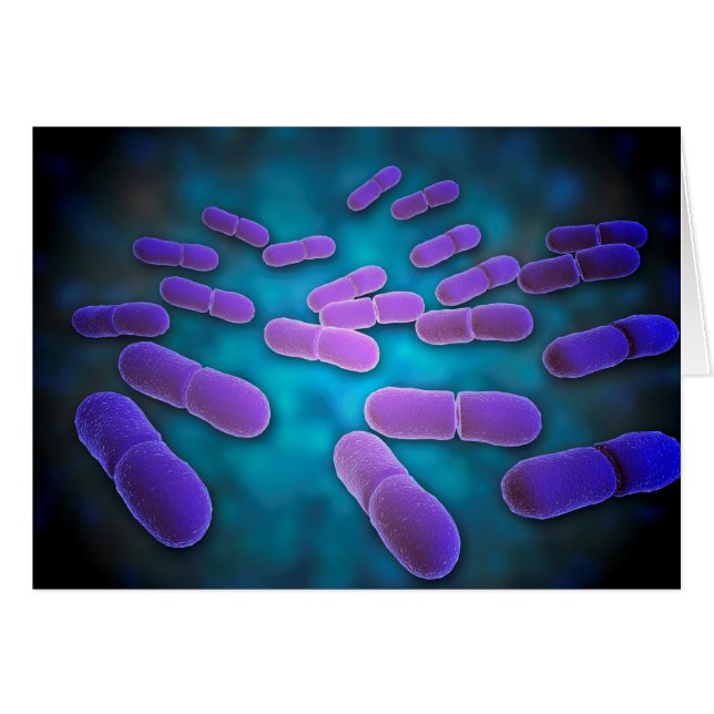 Vue Microscopique De Listeria Monocytogenes 5 (Devant horizontal)