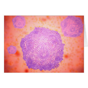 Vue microscopique de Parvovirus canin 2