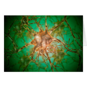 Vue Microscopique De Plusieurs Cellules Nerveuses 