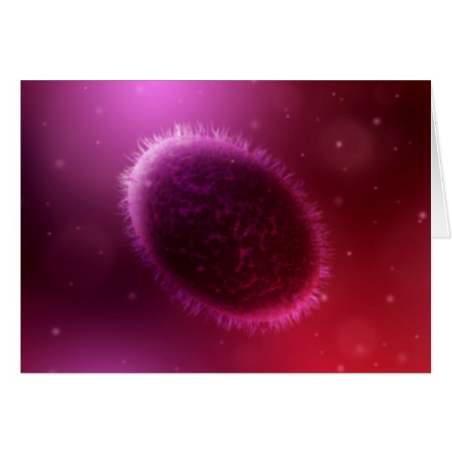 Vue Microscopique De Samllpox 1 (Devant horizontal)