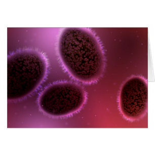Vue Microscopique De Samllpox 2