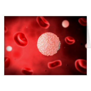 Vue microscopique des globules blancs