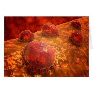 Vue Microscopique Des Macrophages Phagocytiques 1