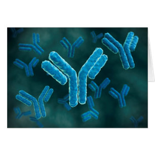 Vue Microscopique Des Molécules Immunoglobulines G