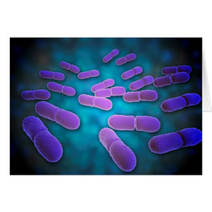 Vue microscopique des monocytogènes 5 de Listeria