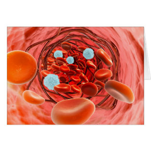 Vue Microscopique Du Flux De Sang À L'Intérieur D'