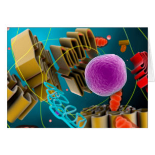 Vue Microscopique Du Noyau Des Cellules Animales