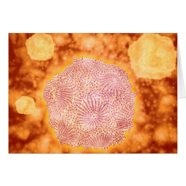 Vue Microscopique Du Parvovirus Canin 1 (Devant horizontal)