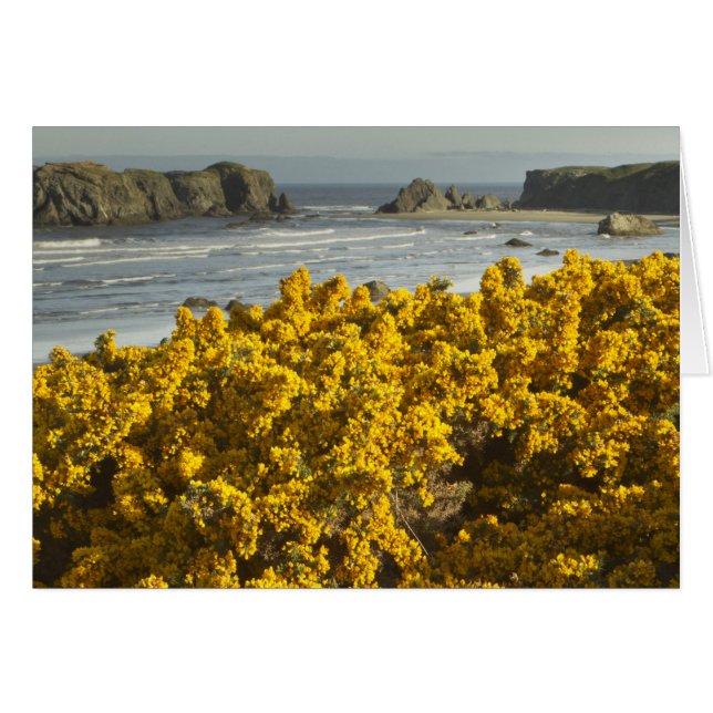 Vue sur le littoral, Bandon, Oregon (Devant horizontal)