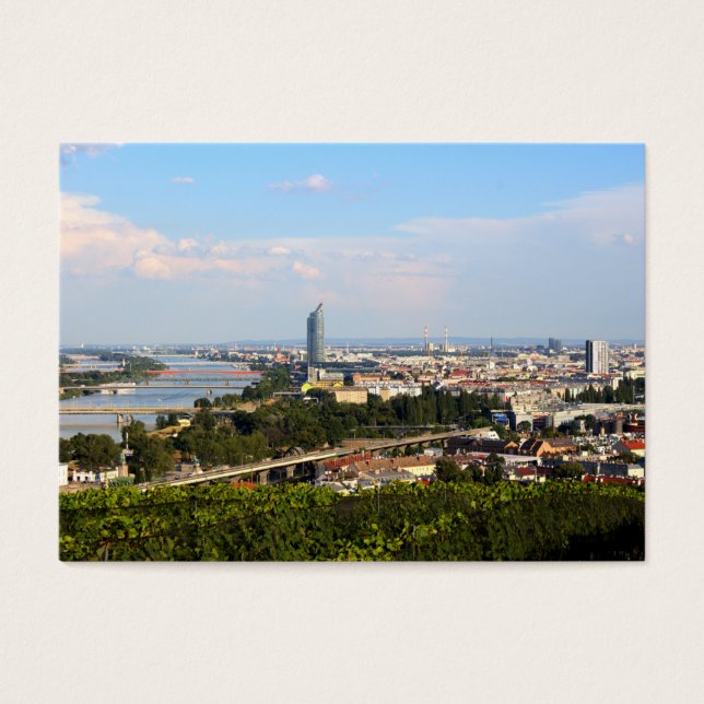 Vue sur Vienne (Devant)