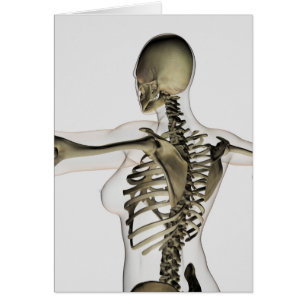 Vue tridimensionnelle de dos femelle de stimulant