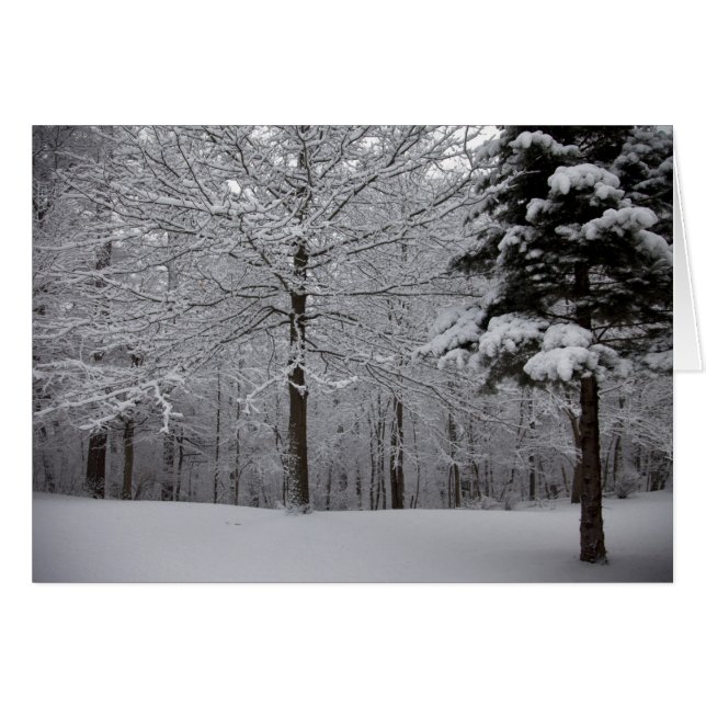 Vue Woods (Devant horizontal)