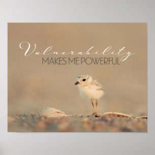 Vulnerability Poster