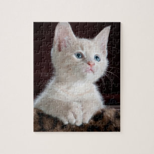 Vulnerable White Kitten Jigsaw Puzzle