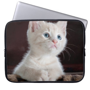 Vulnerable White Kitten Laptop Sleeve