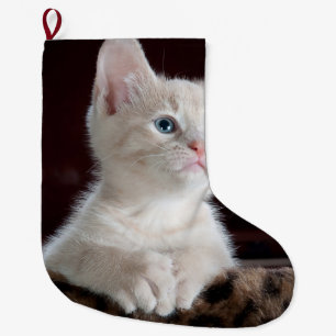 Vulnerable White Kitten Large Christmas Stocking