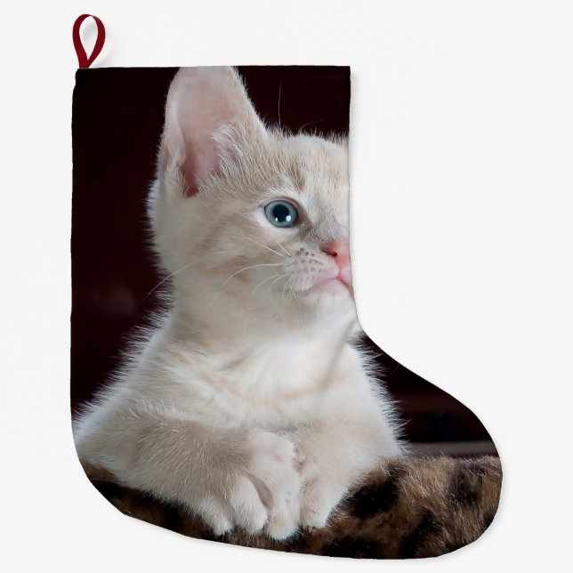 Vulnerable White Kitten Large Christmas Stocking (Front)