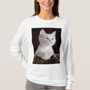 Vulnerable White Kitten T-Shirt