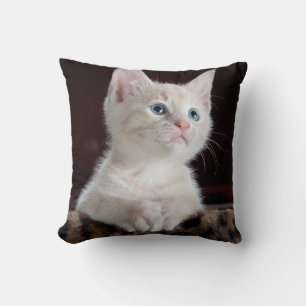 Vulnerable White Kitten Throw Pillow