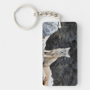 Vulpes corsac keychain