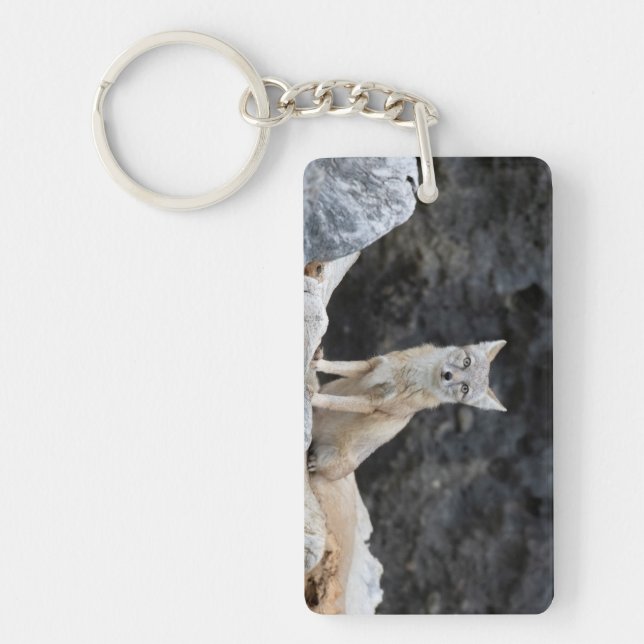 Vulpes corsac keychain (Front)
