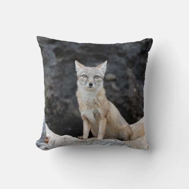 Vulpes corsac throw pillow (Front)